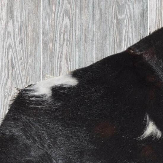 Best reviews of π Carbon Loft Kona Cowhide Rug - 6' X 7' π₯° - Image 2