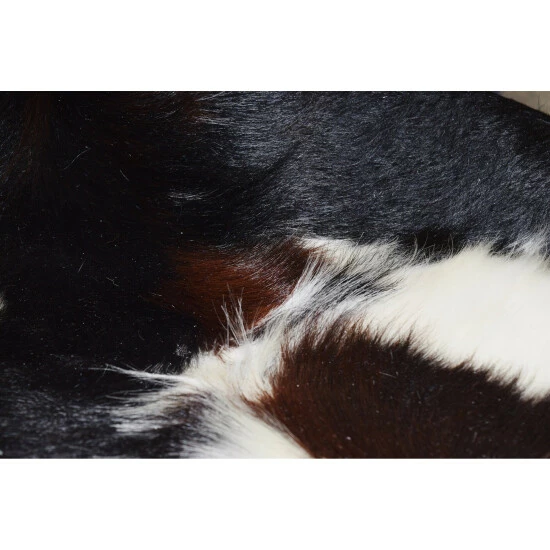 Best reviews of π Carbon Loft Kona Cowhide Rug - 6' X 7' π₯° - Image 3