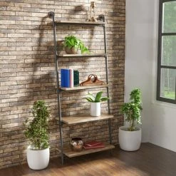 Deals ✨ Carbon Loft Leyva 5-tier Leaning Ladder Shelf 🤩